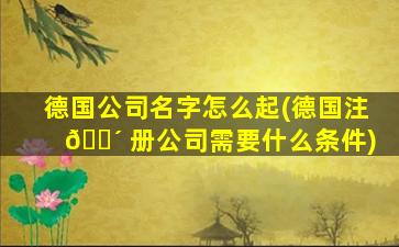 德国公司名字怎么起(德国注 🌴 册公司需要什么条件)